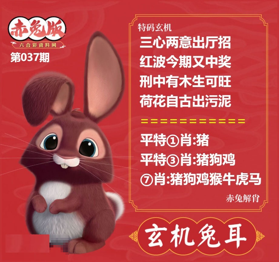 037期玄机兔耳[图]