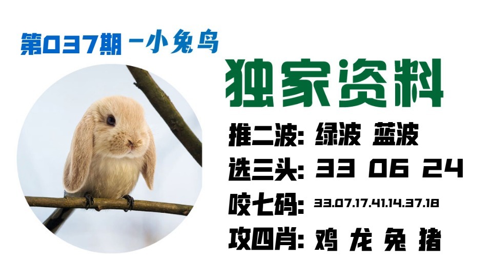 037期小兔鸟[图]